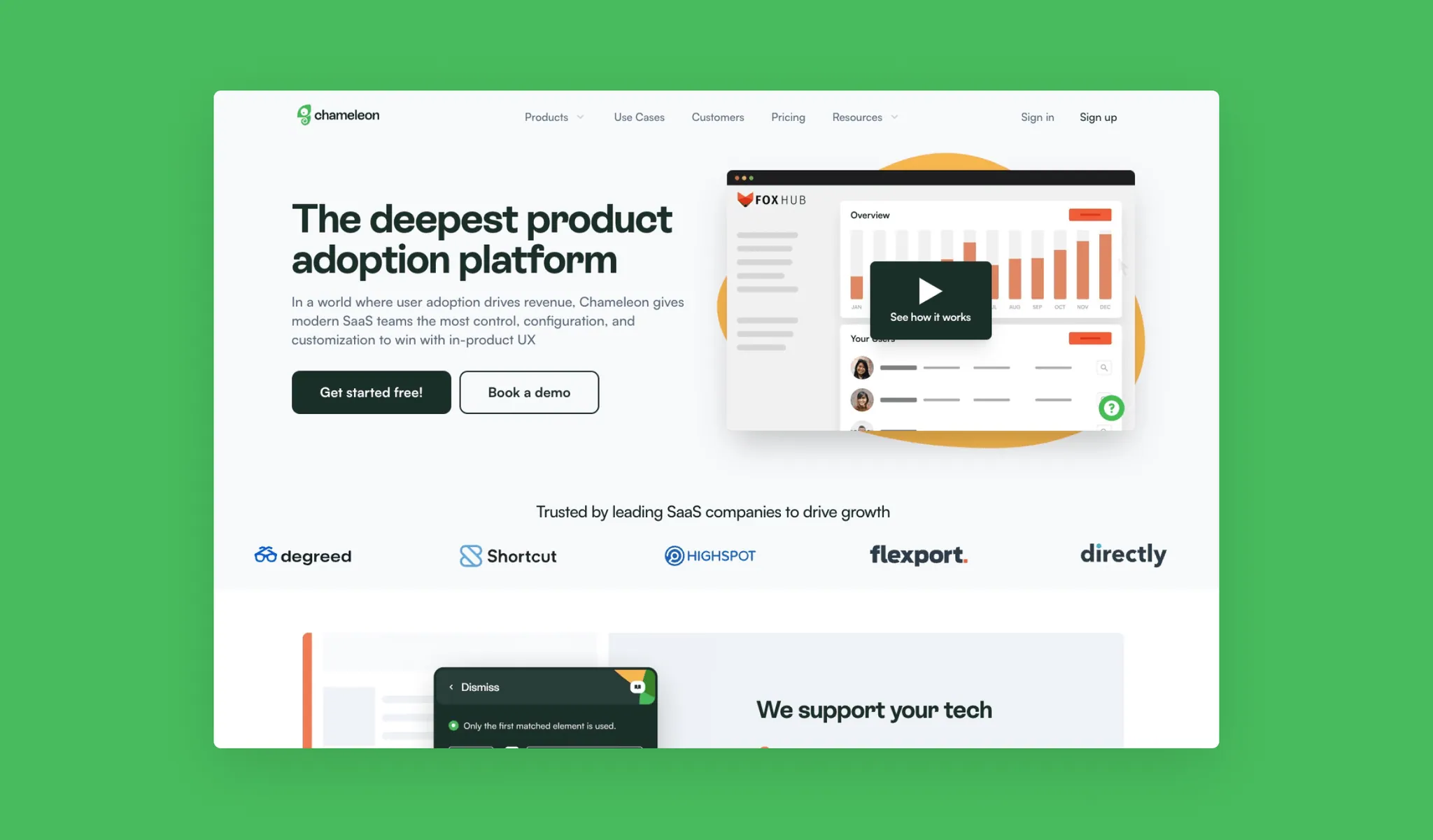 Chameleon — project screenshot