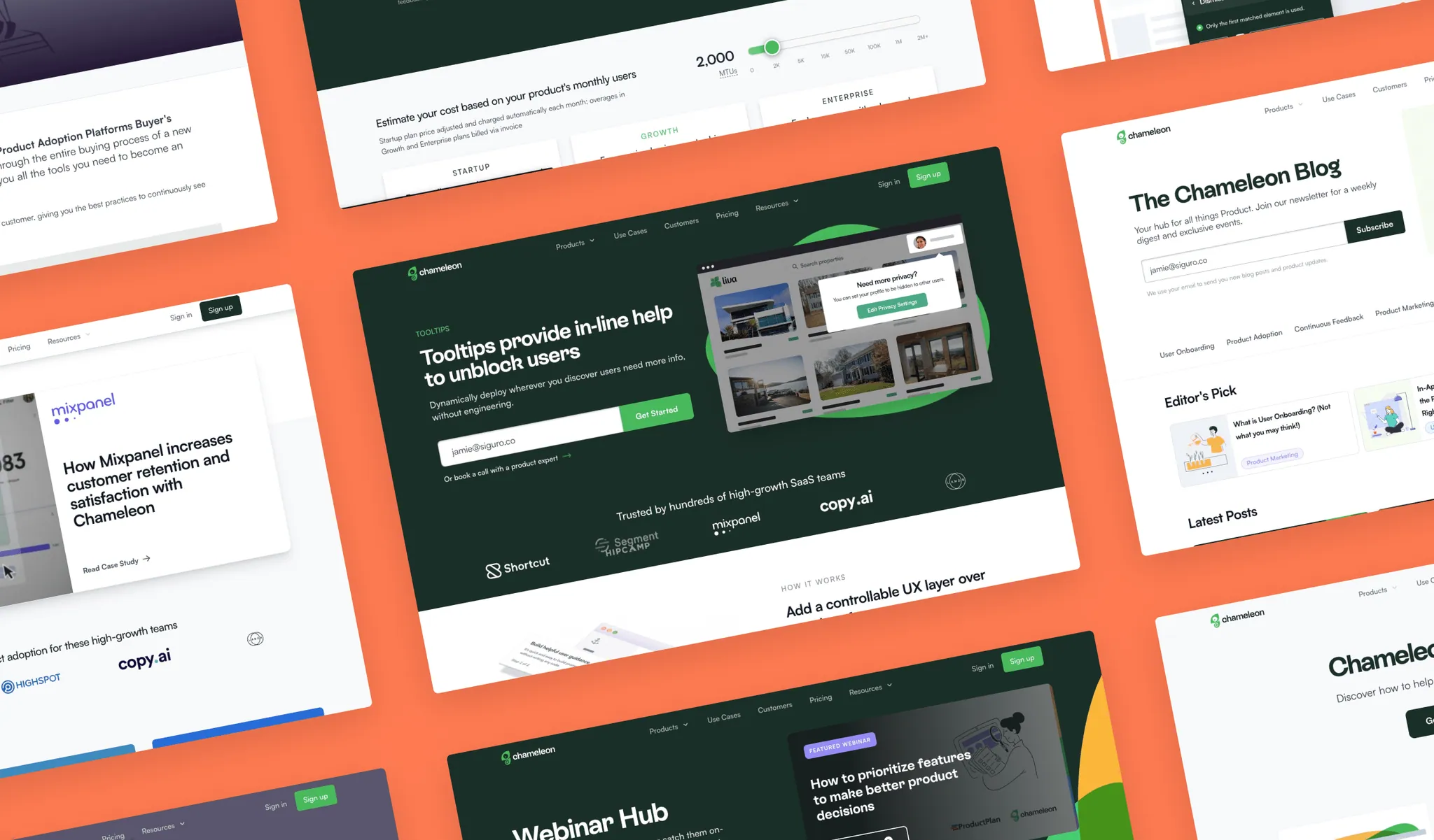 Chameleon — project screenshot