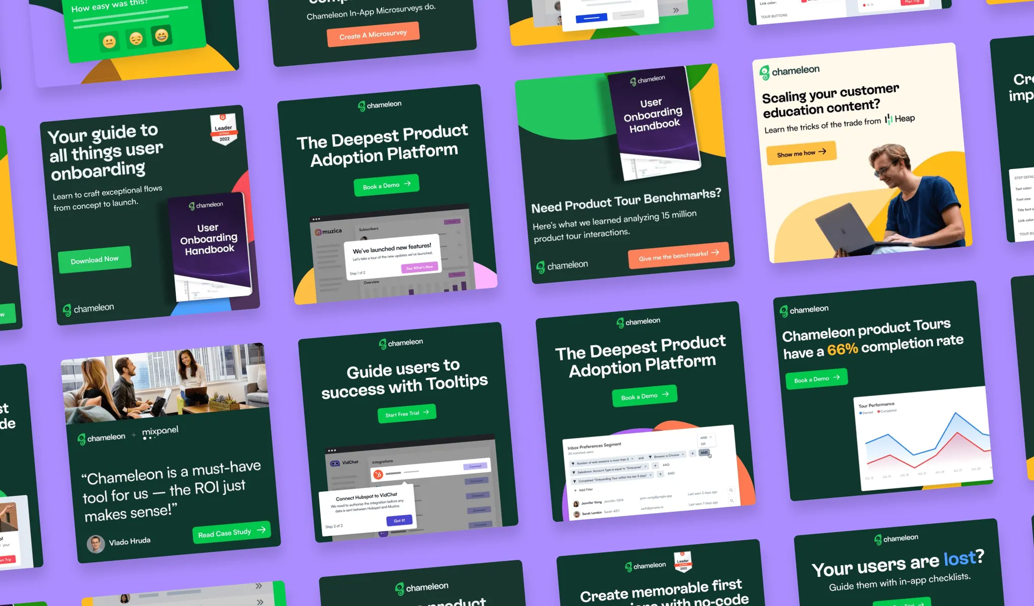 Chameleon — project screenshot