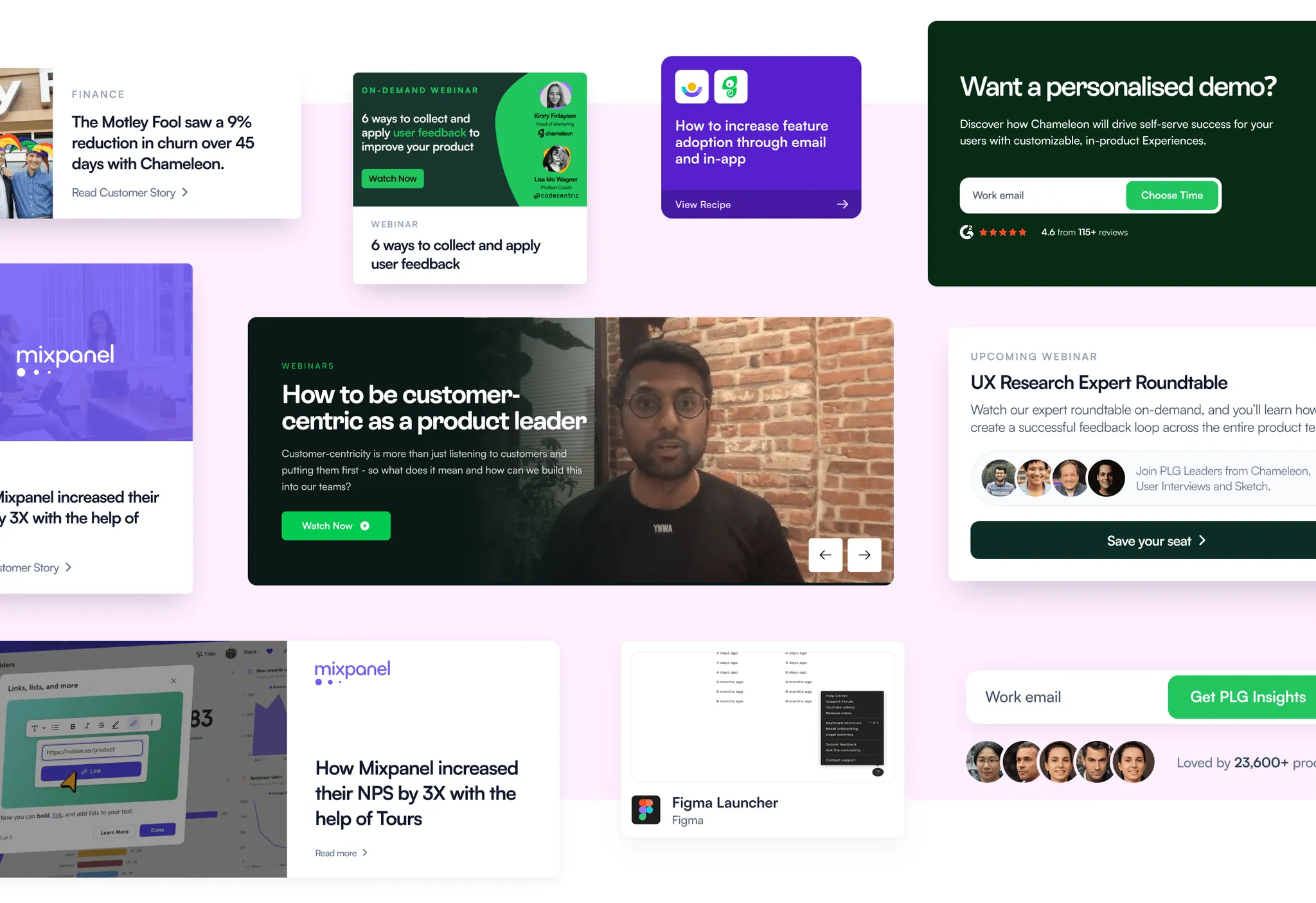 Chameleon — project screenshot