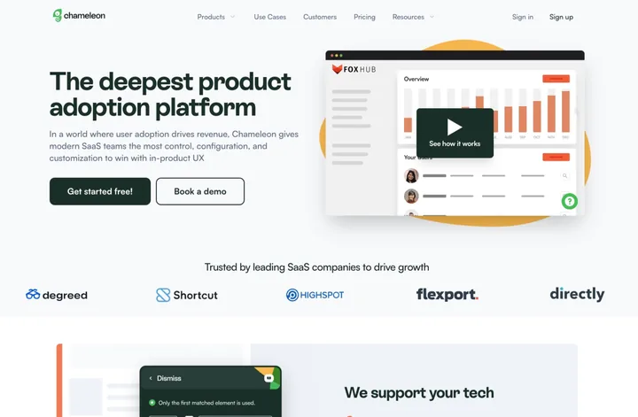 Chameleon — project screenshot